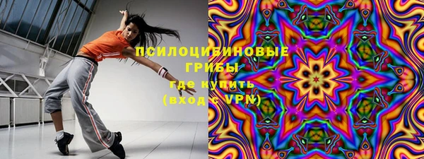 ПСИЛОЦИБИНОВЫЕ ГРИБЫ Волоколамск